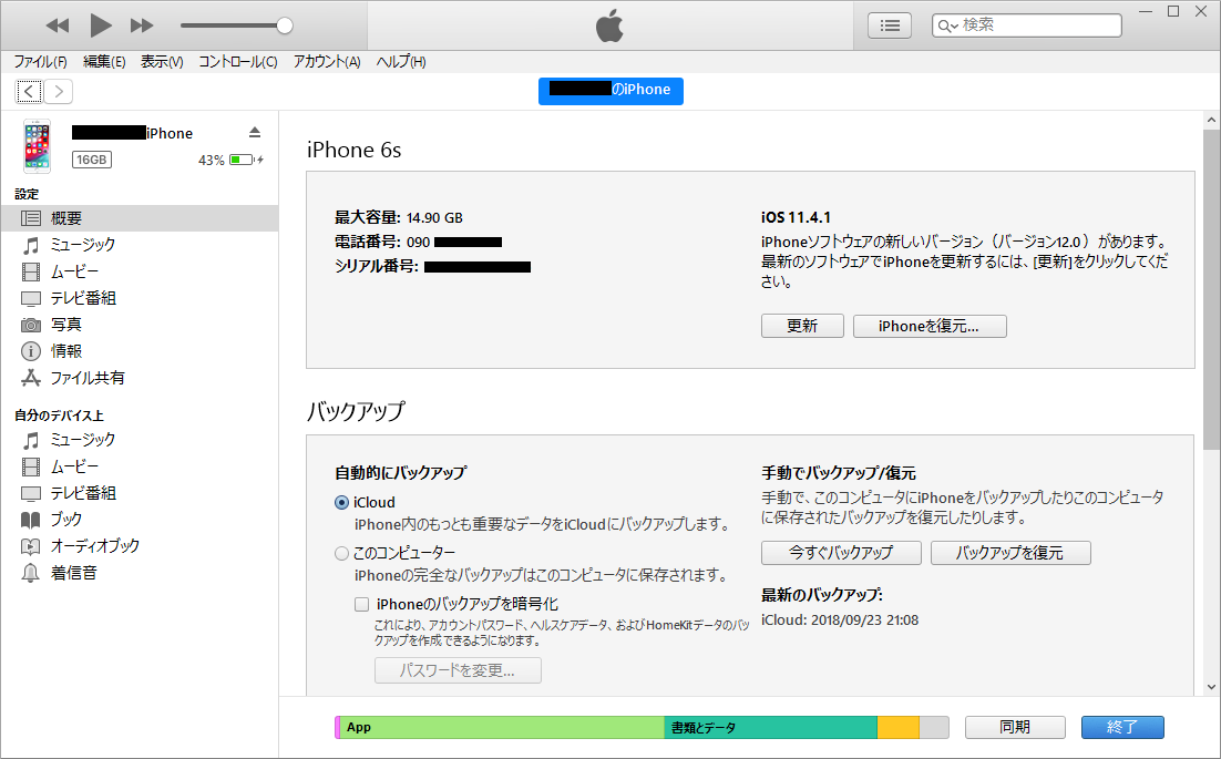 iTunes iPhone詳細画面